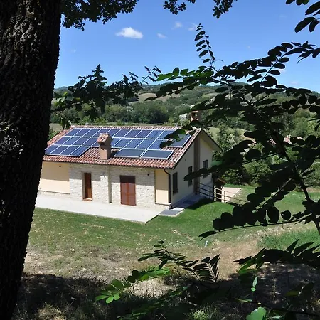 Il Papavero